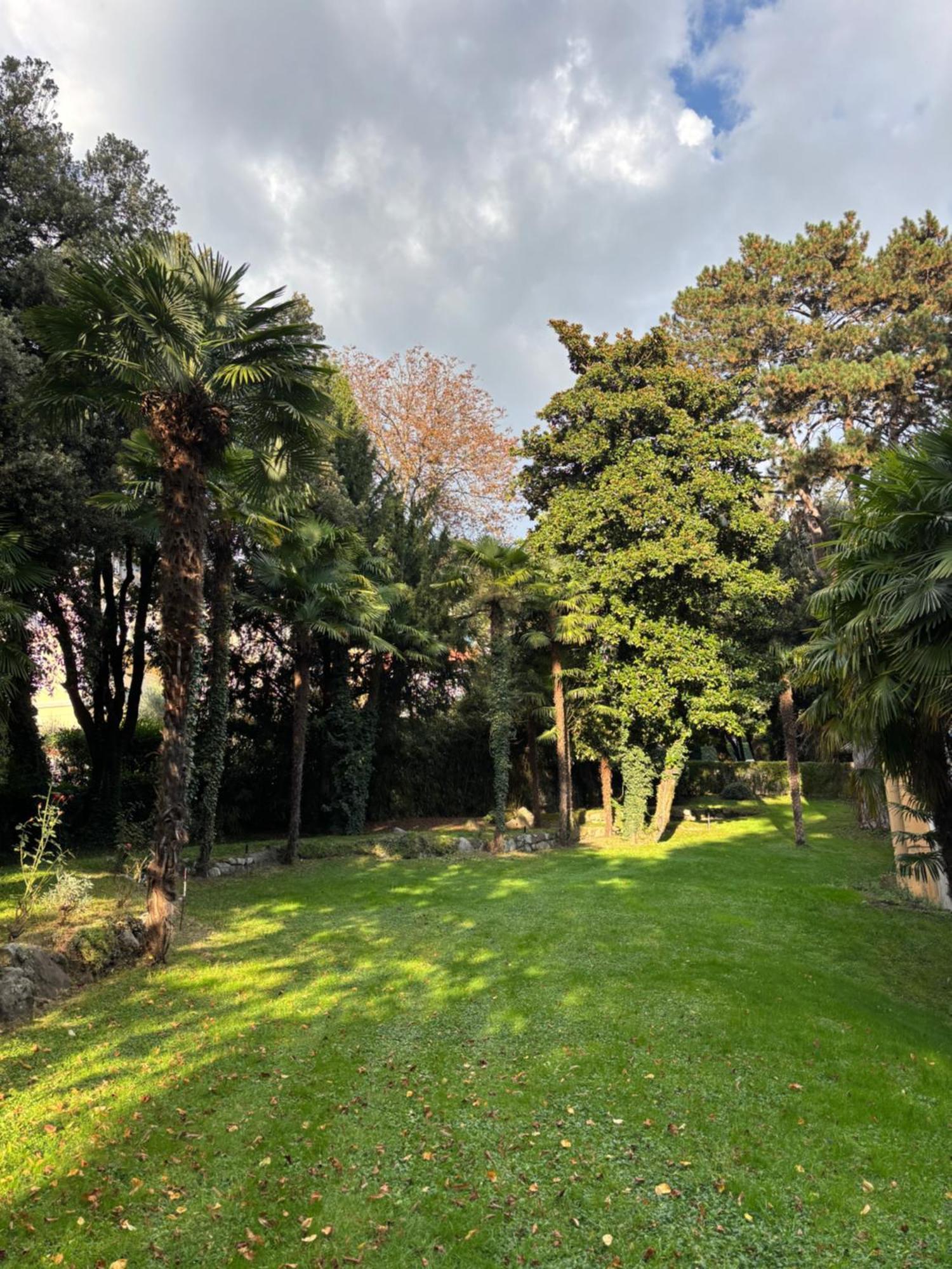Central Palm Studio With Free Parking Merano Esterno foto